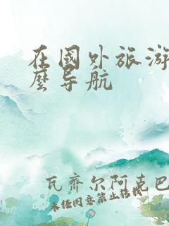 在国外旅游用什么导航