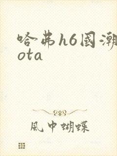 哈弗h6国潮版ota