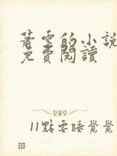 萧云的小说全文免费阅读