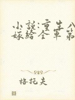 小说:重生八零嫁给全军第一硬汉
