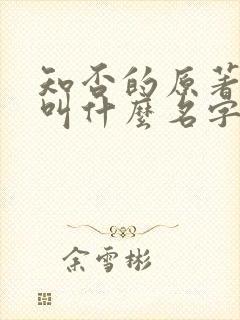 知否的原著小说叫什么名字