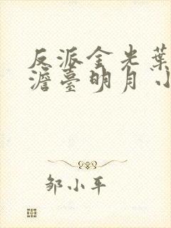 反派金光叶玄,澹台明月 小说