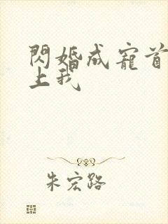 闪婚成宠首富爱上我