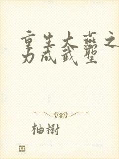 重生大燕之靠念力成武圣