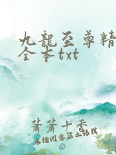 九龙至尊精校版全本txt