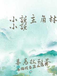 小说主角林枫的小说