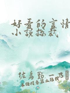 好看的言情甜宠小说总裁