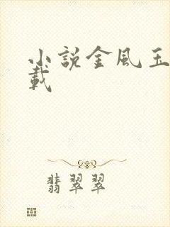 小说金风玉露下载