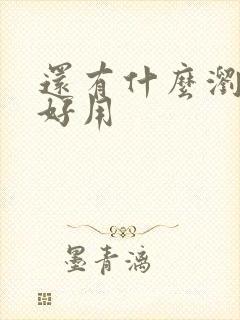 还有什么浏览器好用