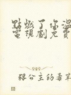点燃了你温暖我电视剧免费观看