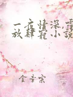 一夜情深,霍少放肆宠小说免费阅读