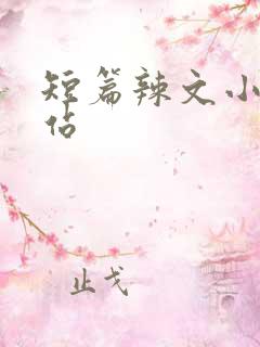 短篇辣文小说网站