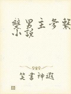 双男主爹系男友小说