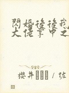 闪婚后后我成了大佬掌中之物