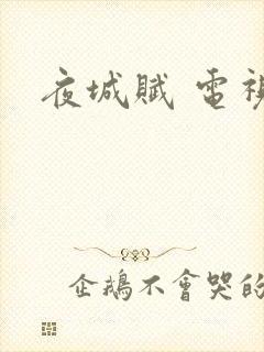 夜城赋 电视剧