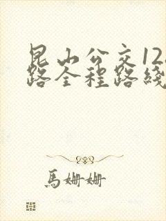 昆山公交128路全程路线图