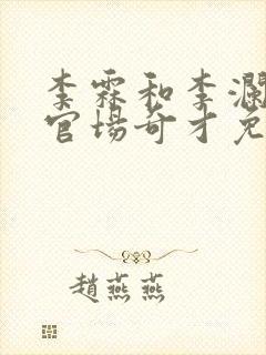 李霖和李澜小说官场奇才免费阅读