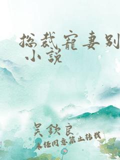 总裁宠妻别太坏 小说