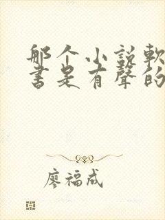 那个小说软件听书是有声的