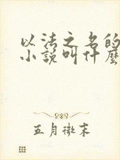 以法之名的原著小说叫什么