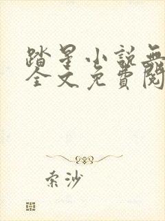踏星小说无弹窗全文免费阅读