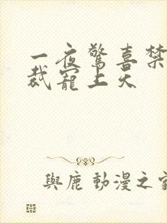 一夜惊喜禁爱总裁宠上天