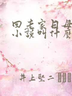 回老家日母原著小说叫什么名字