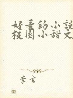 好看的小说言情校园小甜文