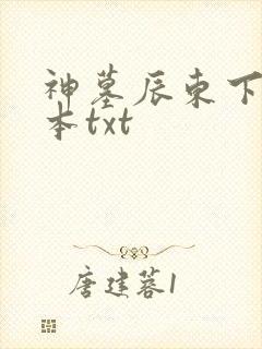 神墓辰东下载全本txt