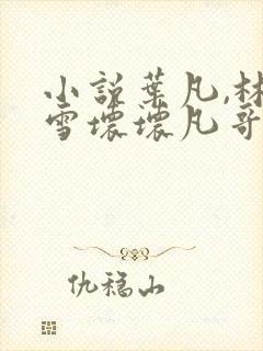 小说叶凡,林清雪坏坏凡哥