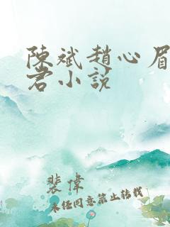 陈斌赵心眉高婉君小说
