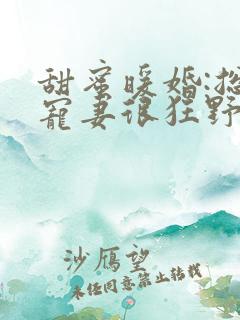 甜蜜暖婚:总裁宠妻很狂野