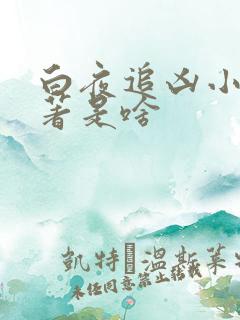 白夜追凶小说原著是啥