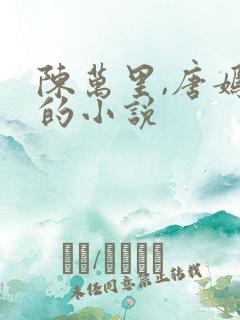 陈万里,唐嫣然的小说