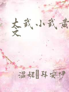 大武小武黄蓉原文