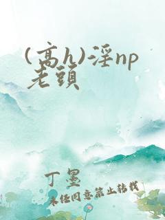 (高h)淫np老头