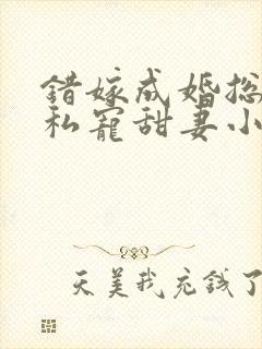 错嫁成婚总裁的私宠甜妻小说完整版