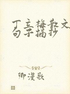 丁立梅散文优美句子摘抄