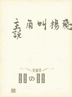 主角叫杨飞的小说