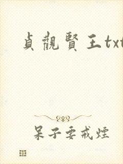 贞观贤王txt