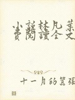 小说林凡叶惜免费阅读全文最新章节