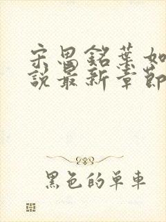 宋思铭叶如云小说最新章节免费阅读