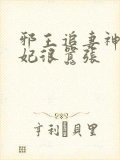 邪王追妻神医狂妃很嚣张