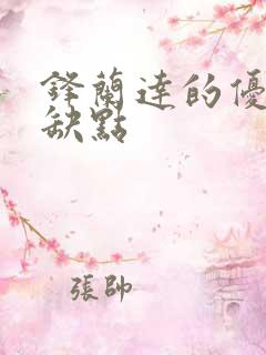 锋兰达的优点和缺点