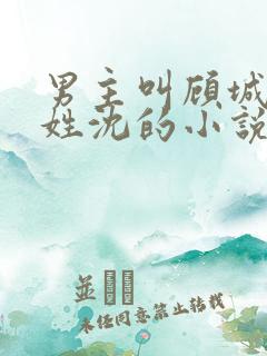男主叫顾城女主姓沈的小说