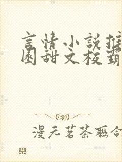 言情小说推荐校园甜文校霸