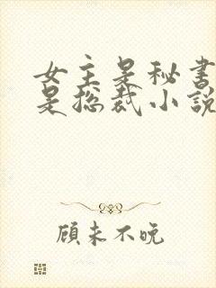 女主是秘书男主是总裁小说