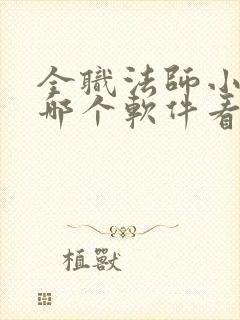 全职法师小说从哪个软件看