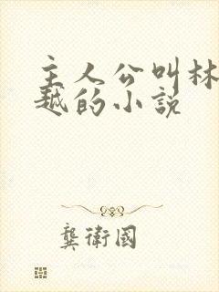 主人公叫林枫穿越的小说