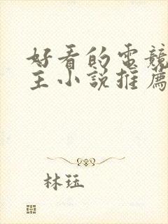 好看的电竞双男主小说推荐